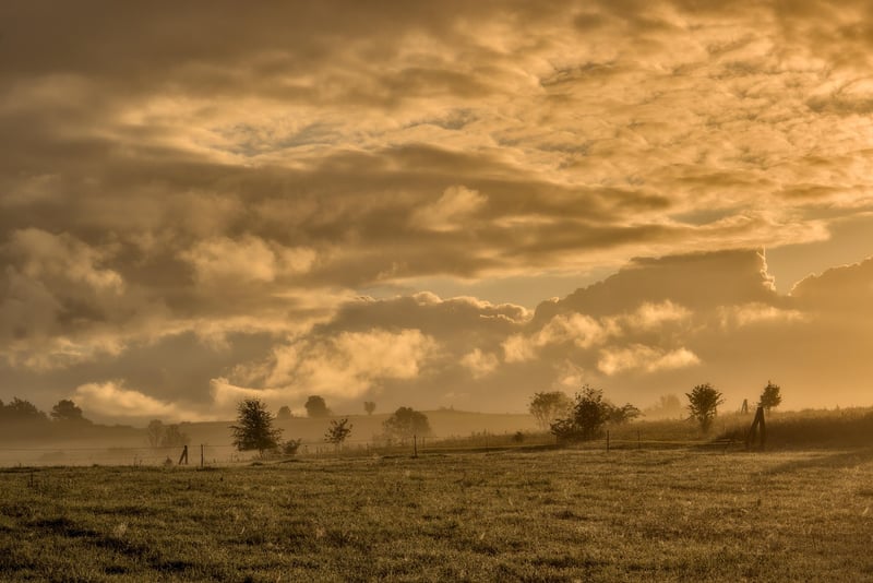 Sunrise Tai Chi